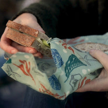 Load image into Gallery viewer, ORGANIC Honeywrap -Three pack (S,M,L)