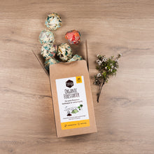 Load image into Gallery viewer, Honeywrap Organic Firestarter